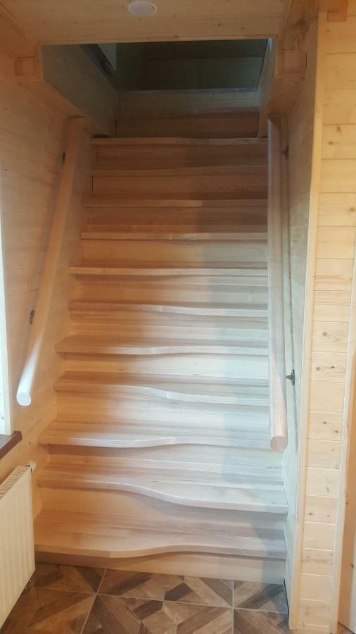 דרוסקינינקאי Apartamentai Renata מראה חיצוני תמונה