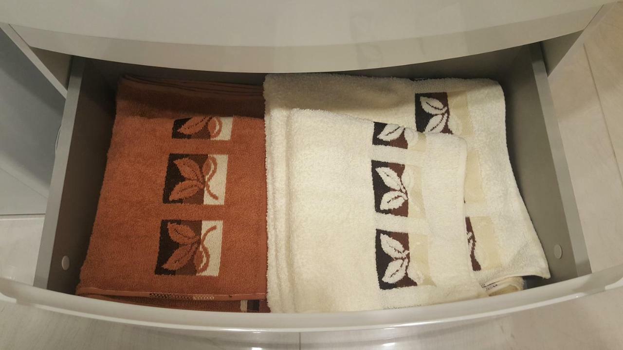 דרוסקינינקאי Apartamentai Renata מראה חיצוני תמונה
